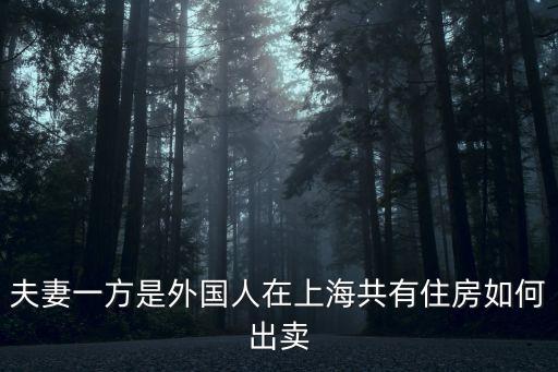 夫妻一方是外國人在上海共有住房如何出賣