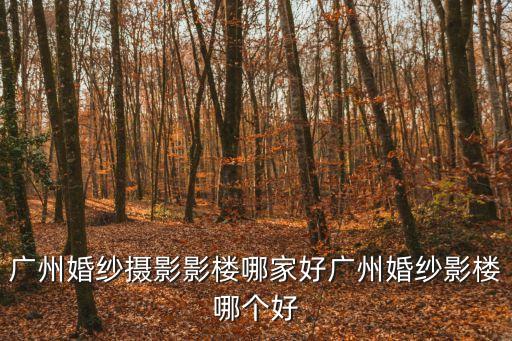 廣州婚紗攝影影樓哪家好廣州婚紗影樓哪個(gè)好