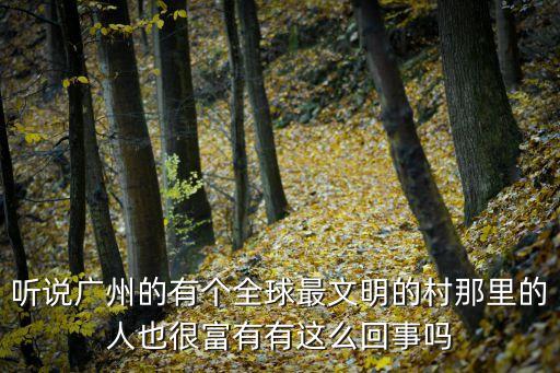 廣州望崗村570畝，聽說廣州的有個全球最文明的村那里的人也很富有有這么回事嗎