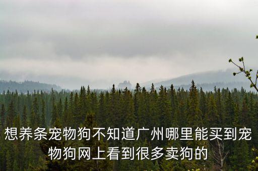 想養條寵物狗不知道廣州哪里能買到寵物狗網上看到很多賣狗的