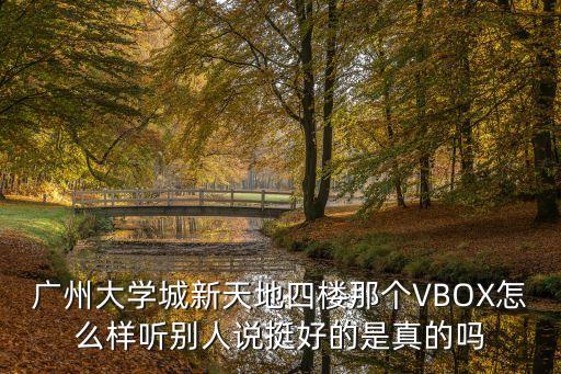 廣州大學城新天地四樓那個VBOX怎么樣聽別人說挺好的是真的嗎