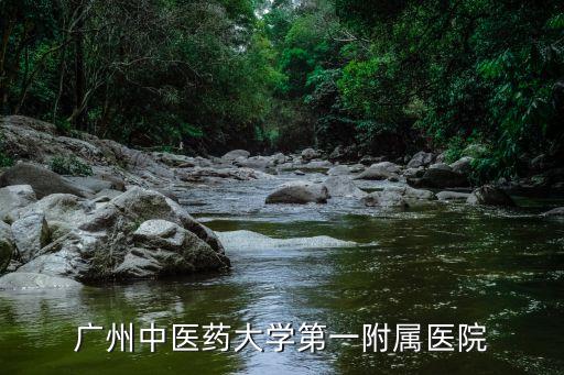 廣州中醫付一院脊椎科，廣州中醫藥大學第一附屬醫院