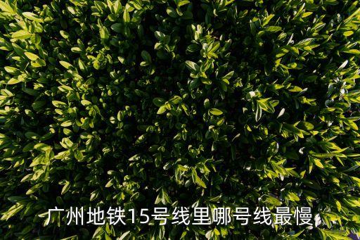 廣州地鐵15號(hào)線里哪號(hào)線最慢