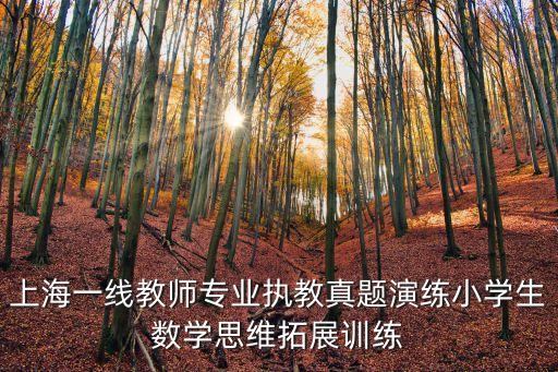 上海一線教師專業執教真題演練小學生數學思維拓展訓練