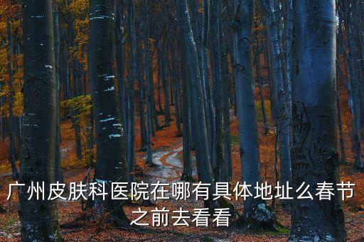 廣州皮膚科醫院在哪有具體地址么春節之前去看看