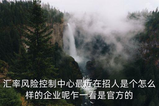 匯德國際廣州鳴彩，匯率風險控制中心最近在招人是個怎么樣的企業(yè)呢乍一看是官方的