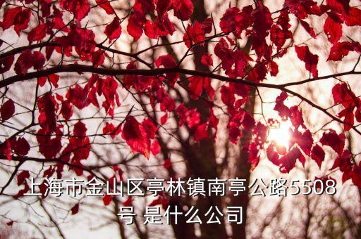 上海市金山區亭林鎮南亭公路5508號 是什么公司