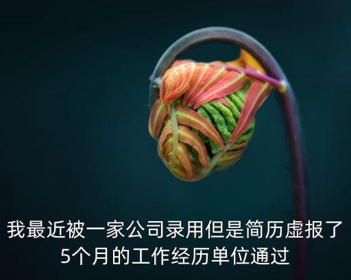 我最近被一家公司錄用但是簡歷虛報了5個月的工作經歷單位通過