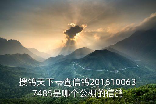 廣州忠平鴿舍種鴿品系，2011鴿子腳環號32794154什么地方的賽鴿什么品系