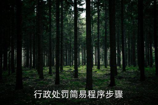 行政處罰簡易程序步驟
