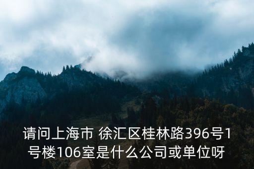 上海市潮玩星球，請問上海市 徐匯區桂林路396號1號樓106室是什么公司或單位呀