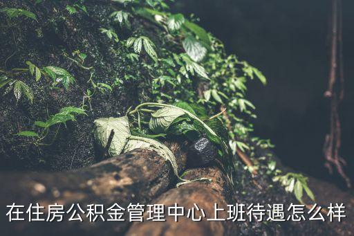 在住房公積金管理中心上班待遇怎么樣