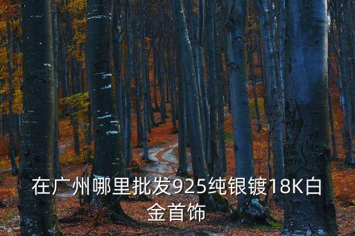 在廣州哪里批發925純銀鍍18K白金首飾