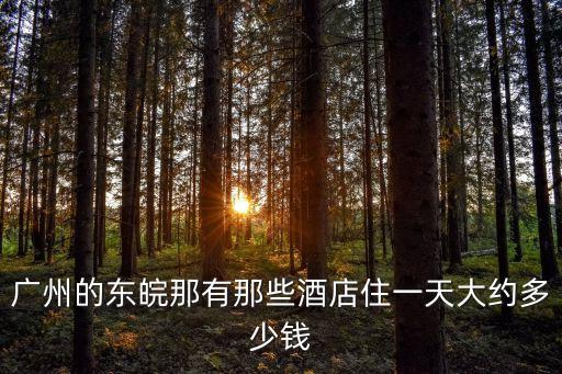廣州的東皖那有那些酒店住一天大約多少錢