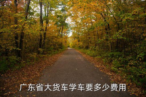 廣州考大車要多少錢，現(xiàn)在 在廣州市考大貨車B1牌和B2牌要多少錢