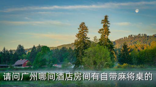 廣州帶麻將機的酒店，廣州東站附近有帶麻將房間的酒店嗎