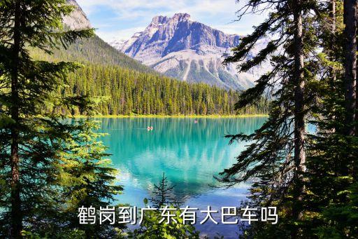 鶴崗到廣東有大巴車嗎