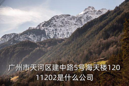 廣州市天河區建中路5號海天樓12011202是什么公司