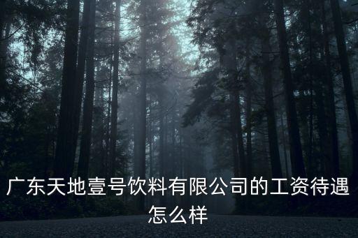 廣東天地壹號飲料有限公司的工資待遇怎么樣