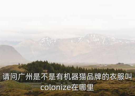 廣州 駝王，有哪位高手描述一下駝王 到底駝到什么程度