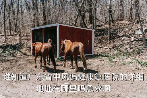 廣州市石榴崗路250號，誰知道廣東省中風偏癱康復醫院的詳細地址在哪里嗎急求啊