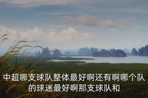 中超哪支球隊整體最好啊還有啊哪個隊的球迷最好啊那支球隊和