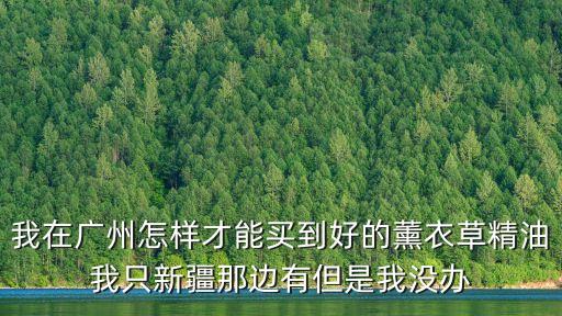 我在廣州怎樣才能買到好的薰衣草精油我只新疆那邊有但是我沒辦