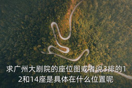 求廣州大劇院的座位圖或者說3排的12和14座是具體在什么位置呢