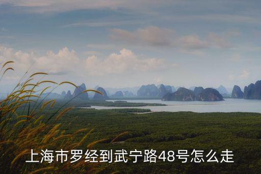 上海市羅經到武寧路48號怎么走