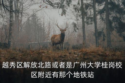 越秀區(qū)解放北路或者是廣州大學(xué)桂崗校區(qū)附近有那個(gè)地鐵站