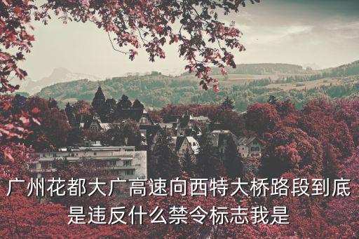 廣州花都大廣高速向西特大橋路段到底是違反什么禁令標(biāo)志我是