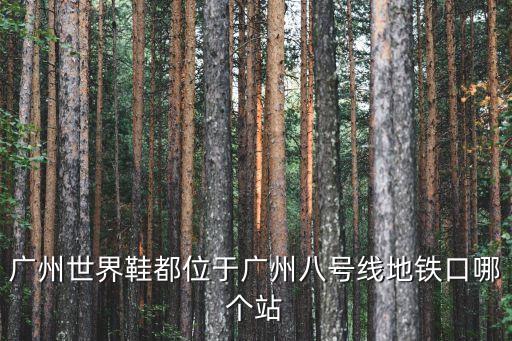 廣州世界鞋城附近地鐵，廣州世界鞋都位于廣州八號線地鐵口哪個站