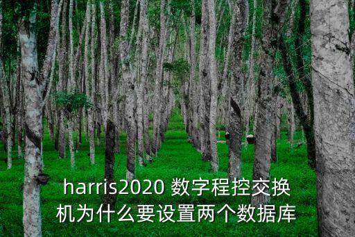 廣州哈里斯h20 20，德文哈里斯的籃球鞋要多少錢啊