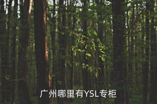 廣州太古匯有YSL嗎，廣州太古匯有沒有YSl專柜