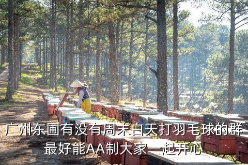 廣州去羽毛球群，廣州番禺有沒有適合新手的羽毛球群