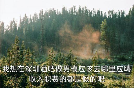 我想在深圳酒吧做男模應該去哪里應聘收入職費的都是假的吧