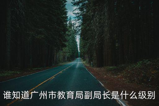 誰知道廣州市教育局副局長是什么級別