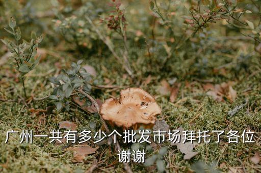 廣州批發(fā)商有多少，廣州有幾個批發(fā)市場