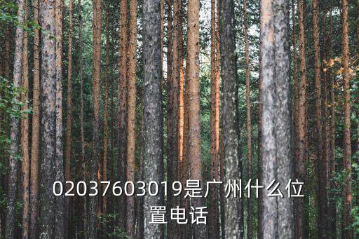 02037603019是廣州什么位置電話