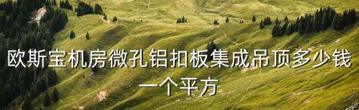 廣州歐斯寶鋁扣板，歐斯寶機(jī)房微孔鋁扣板集成吊頂多少錢一個平方