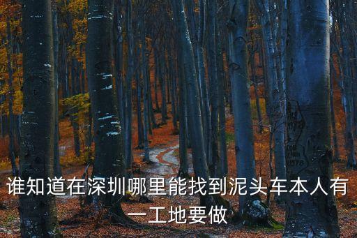 誰知道在深圳哪里能找到泥頭車本人有一工地要做