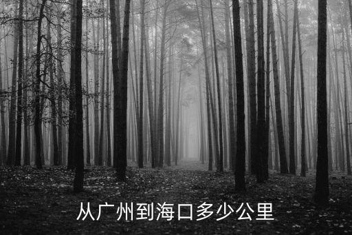 從廣州到海口多少公里