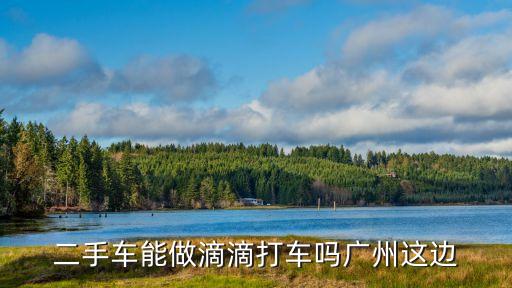 廣州二手車滴滴嗎，我想買臺(tái)東莞牌的2手車能加入廣州滴滴打車嗎
