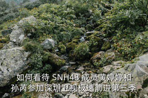 snh48深圳衛視，深圳衛視娛樂天地