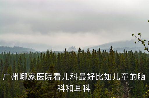 廣州哪家醫(yī)院看兒科最好比如兒童的腦科和耳科