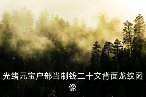 光緒元寶戶部當制錢二十文背面龍紋圖像