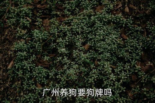 廣州一定要辦狗牌嗎，廣州養狗一定要上狗牌嗎