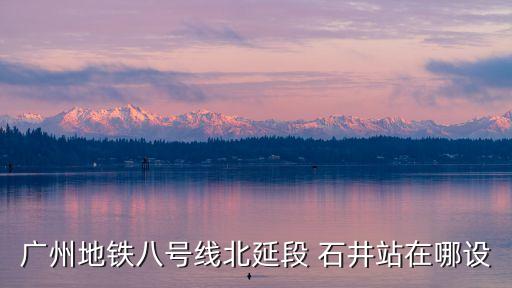 廣州市8號北，廣州地鐵8號線北延線