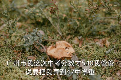 廣州市我這次中考分數才540我爸爸說要把我弄到47中學重