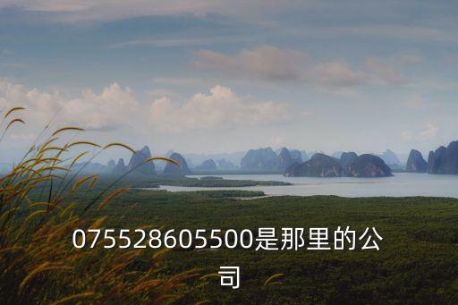 075528605500是那里的公司